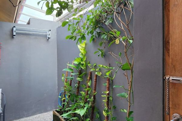 Seminyak 2 photo 2