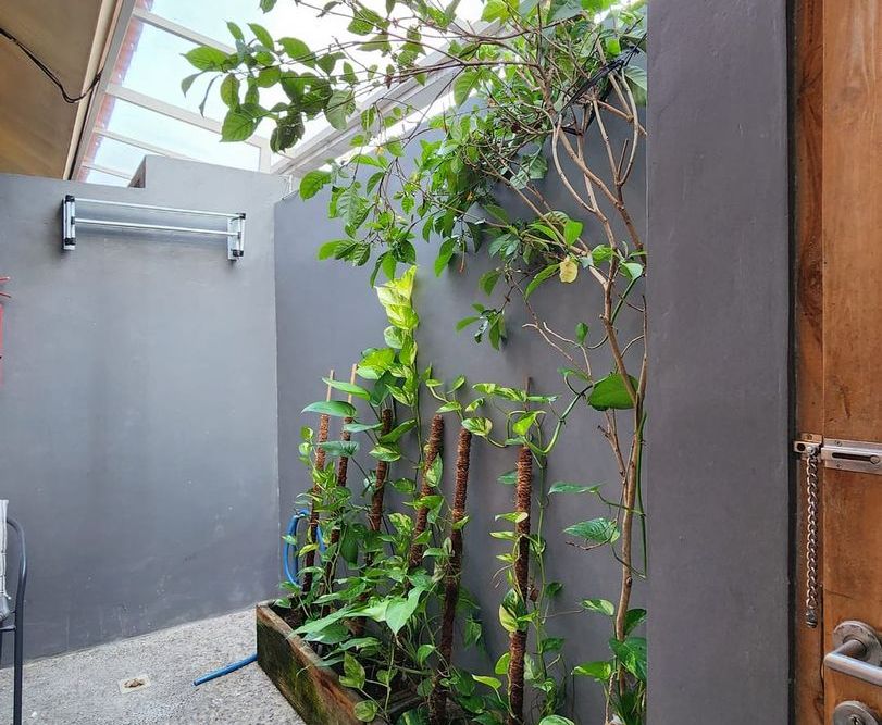 Seminyak 2 photo 2